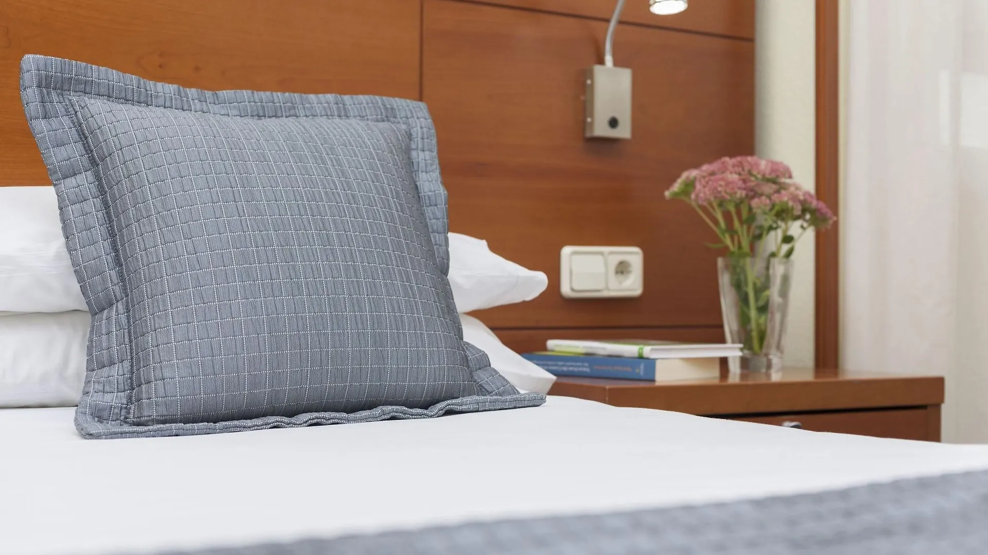 Hotel Porcel Torre Garden Madrid 3*,